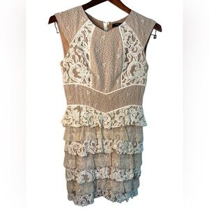 BCBG Maxazria Petites Gardenia Beige Lace Dress Size 4 P